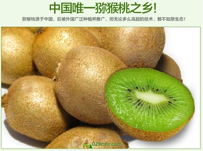 【預售開啟】2015年度優質徐香獼猴桃，邀您搶先品嘗金秋碩果