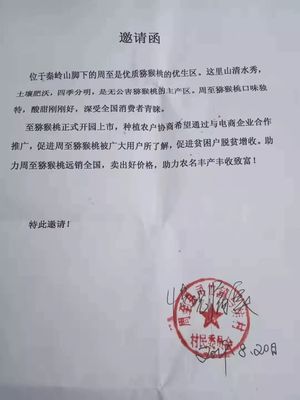 愛心傳遞周至 40萬斤獼猴桃滯銷待援，無聲老人與留守兒童的期盼