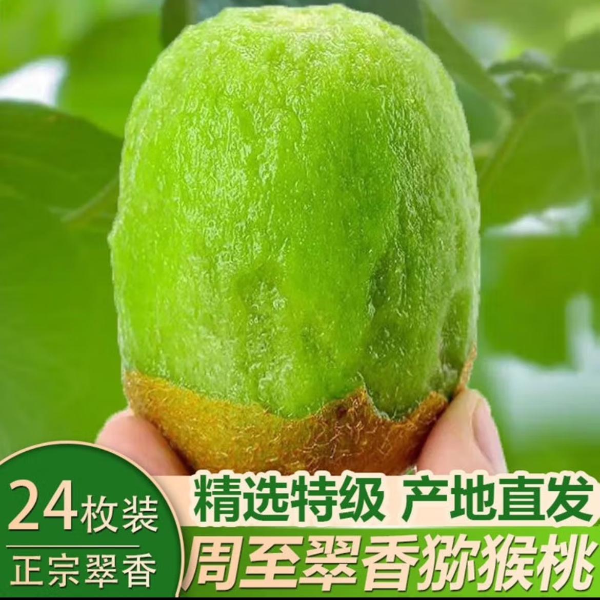 翠香獼猴桃熱銷告急，品質鮮果莫失良機
