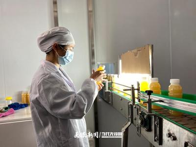 六盤水 產業轉型蹄疾步穩，獼猴桃變身“致富果”