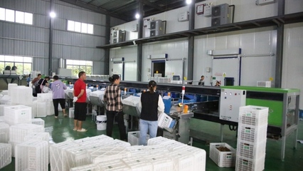 修文縣首個即食獼猴桃加工中心建成投用，開啟獼猴桃產業發展新篇章